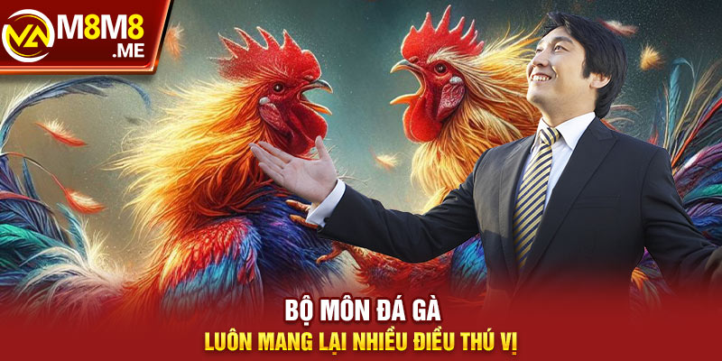 Bộ môn đá gà luôn mang lại nhiều điều thú vị