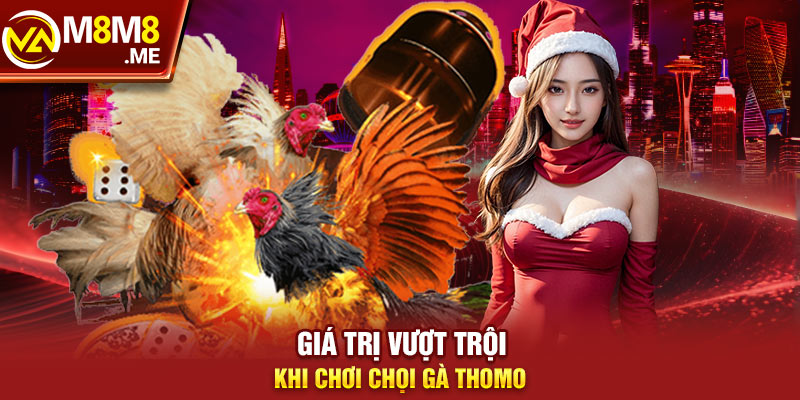 Giá trị vượt trội khi chơi chọi gà Thomo