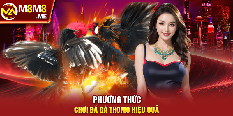 Phương thức chơi đá gà Thomo hiệu quả