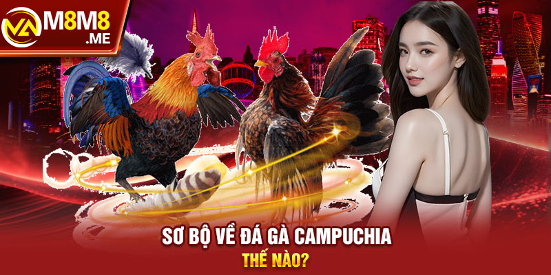 Sơ bộ về đá gà Campuchia thế nào?