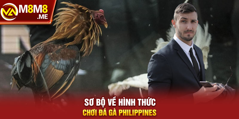 Sơ bộ về hình thức chơi đá gà Philippines